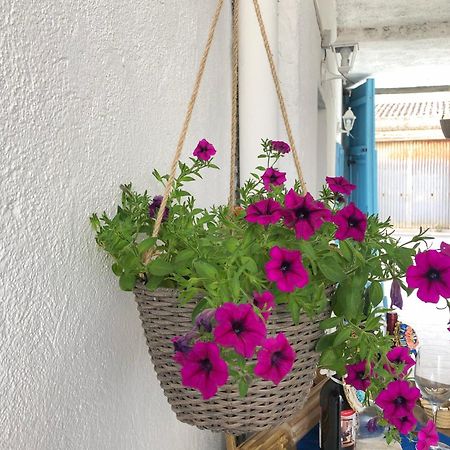 Càbras Bnb Le Janas المظهر الخارجي الصورة