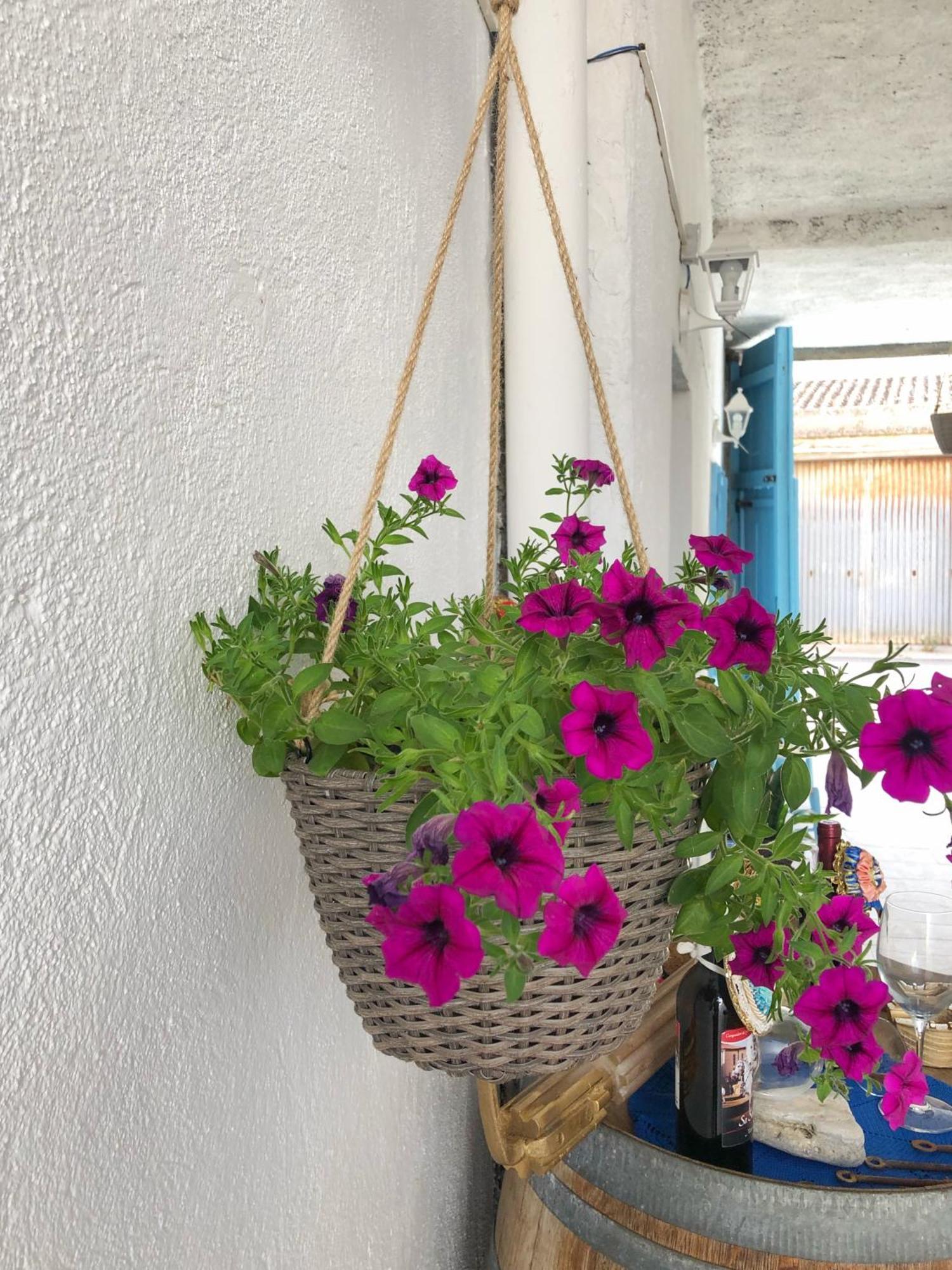 Càbras Bnb Le Janas المظهر الخارجي الصورة